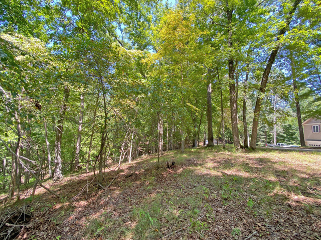 Dahlonega building lot for sale